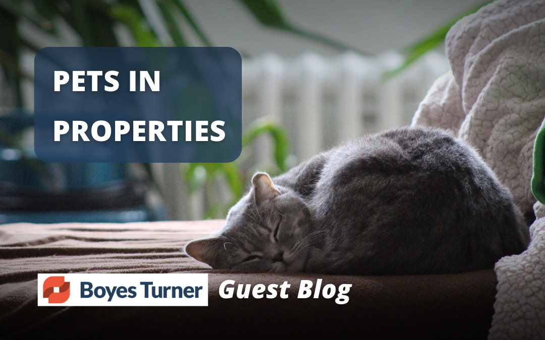 PETS IN PROPERTIES