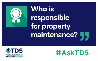 ASK TDS –  Who’s responsible for maintenance in rented properties?