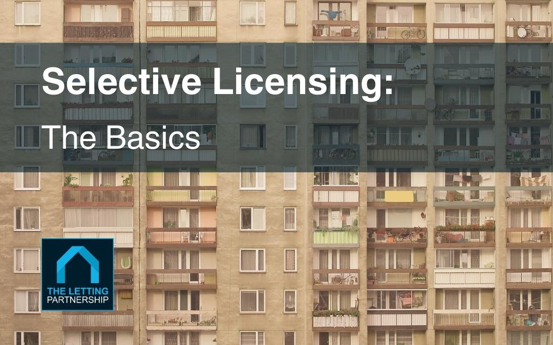 Selective Licensing The Basics