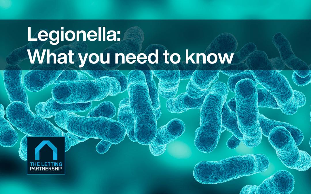Legionella What you need to know