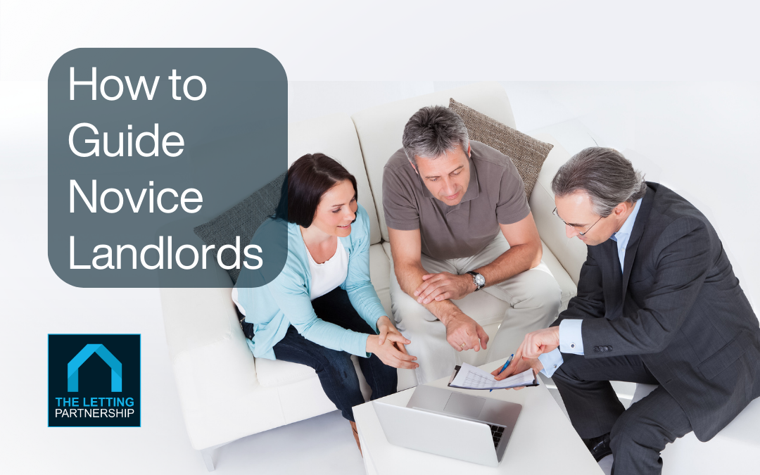 Guiding Novice Landlords